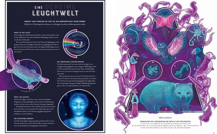 Immagine prodotto Glow – Das wundersame Leuchten der Natur (Tedesco, Jennifer N.R. Smith, 2023)