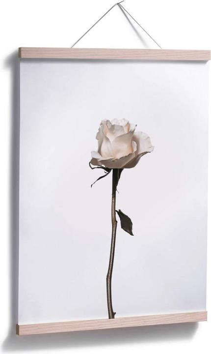 Immagine prodotto Trenddeko La rosa bianca (30 x 40 cm)