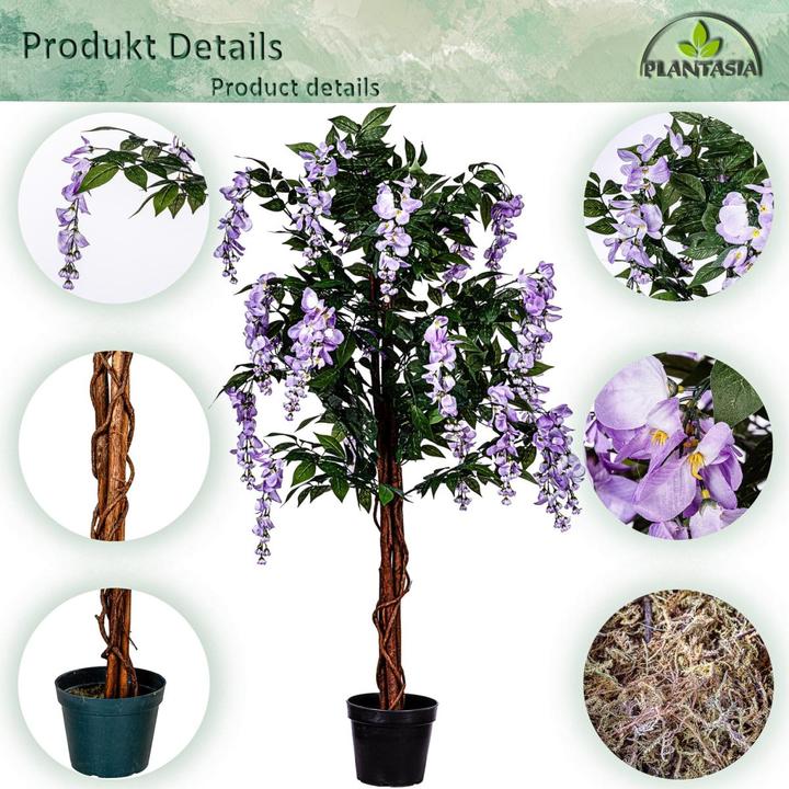 Image du produit Plantasia Wisteria Baum (120 cm)
