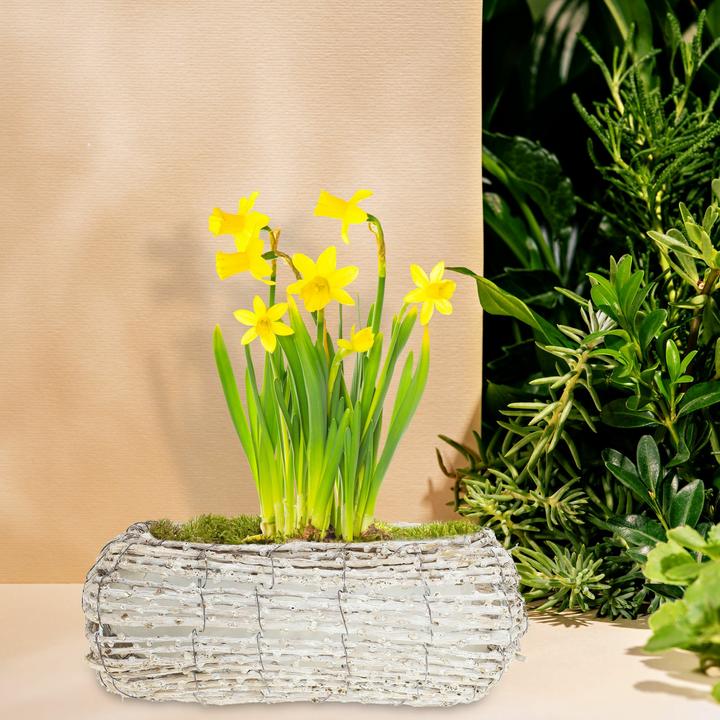 Productafbeelding Relaxdays Bijzettafel (48 x 64 x 44 cm)
