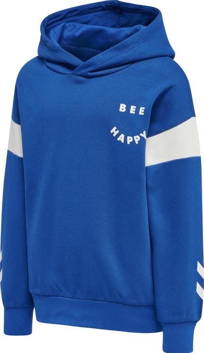 Produktbild hummel Optimism Hoodie (110)
