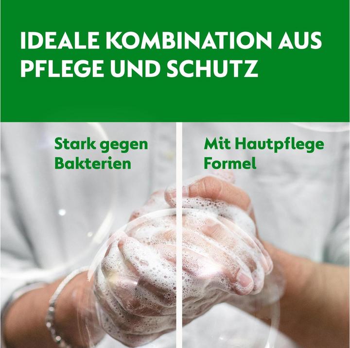 Actual product image Dettol Jester (refill, 250 ml)