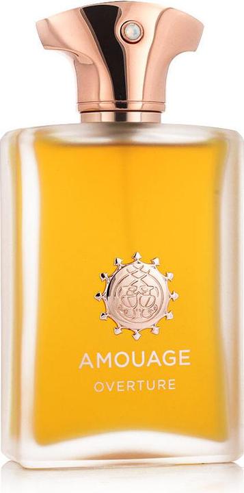 Image du produit Amouage Overture (Eau de parfum, 100 ml)