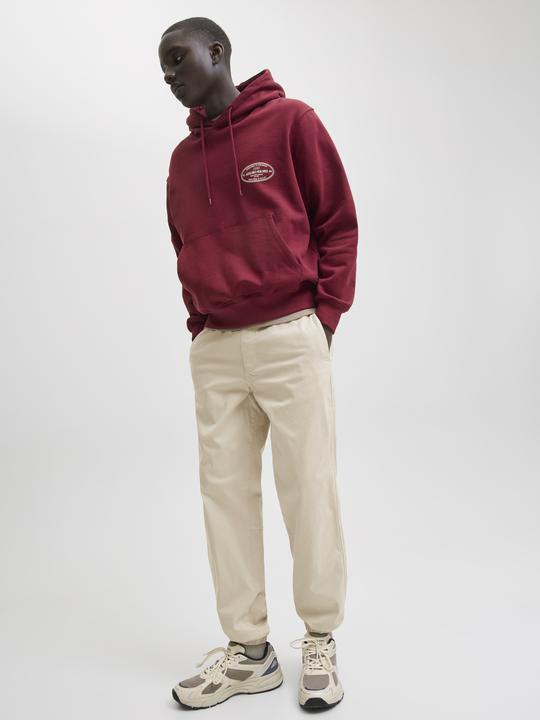 Actual product image Jack & Jones Jpstkane Troy Cuffed Jogger Sn (L)