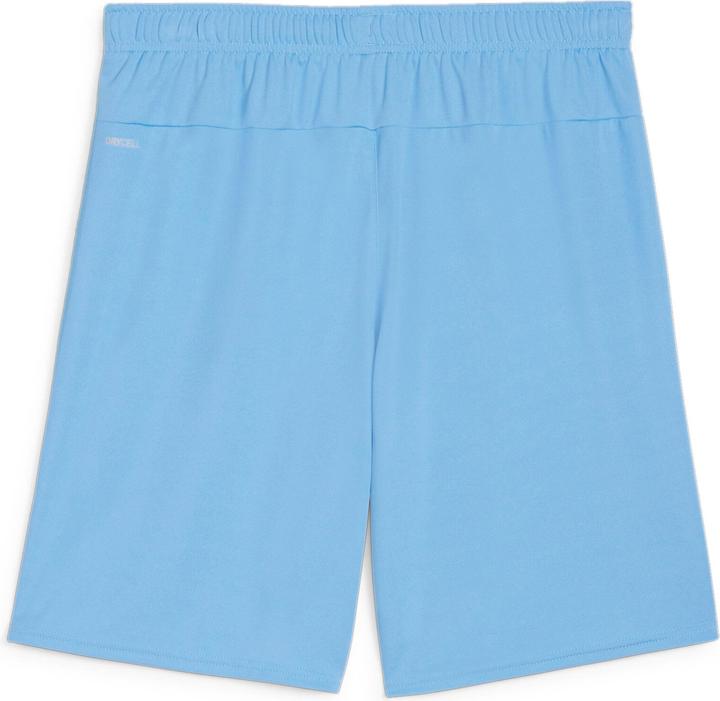 Actual product image Puma teamGOAL shorts (XXL)