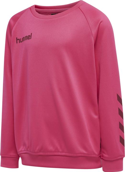 Immagine prodotto hummel Felpa Poli Promozionale Per Bambini (164)