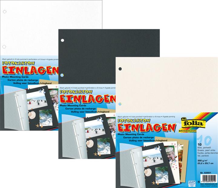 Image du produit Folia Inserts (300 g/m², 10 x)