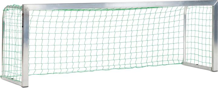 Sport-Thieme Alu-Minitor 3x1 m