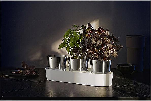 Image du produit WMF Jardin aromatique (14 cm)