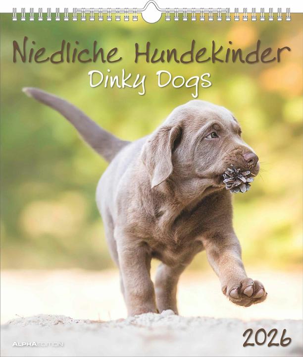 Produktbild NiedlicheHundekinder2026-Wand-Kalender-Tier-Kalender-30x34 (30 x 34 cm, Harter Einband, Englisch, Niederländisch)