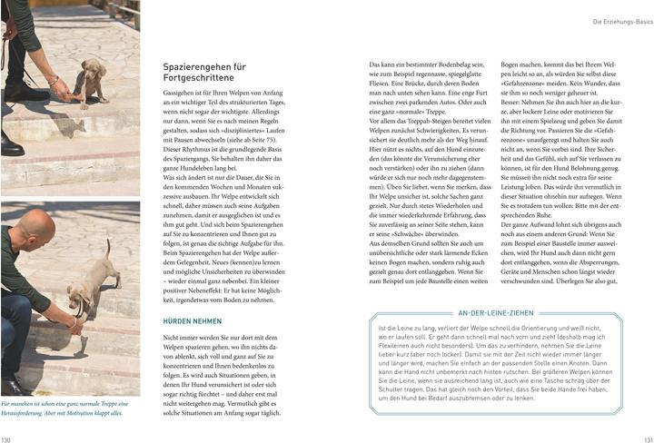 Produktbild José Arces Welpenbuch (Deutsch, José Arce, 2017)
