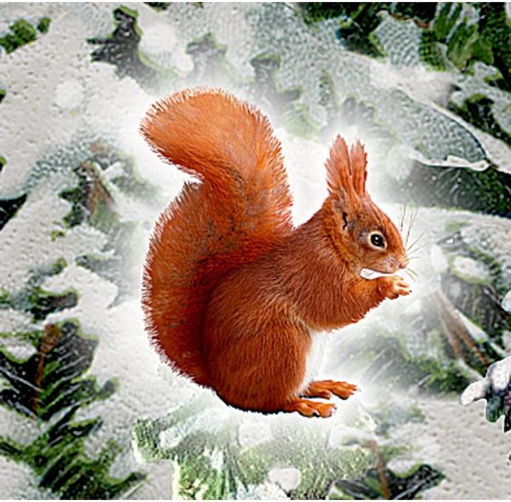 Produktbild Adventskalender