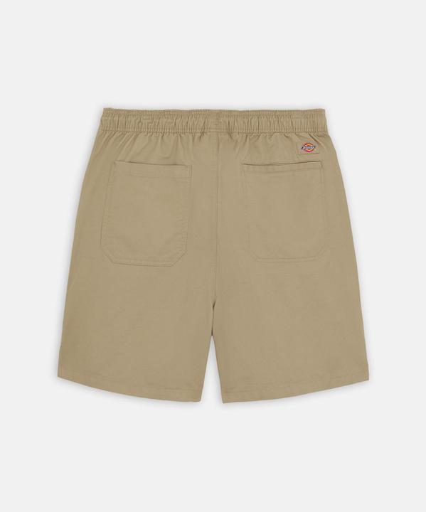 Actual product image Dickies Pelican Rapids Desert Sand (L)