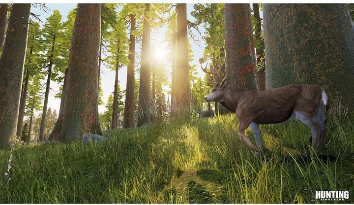 Image du produit Bigben Simulateur de chasse (Switch, DE)