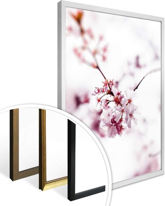 Produktbild Trenddeko Kirschblüte (24 x 30 cm)