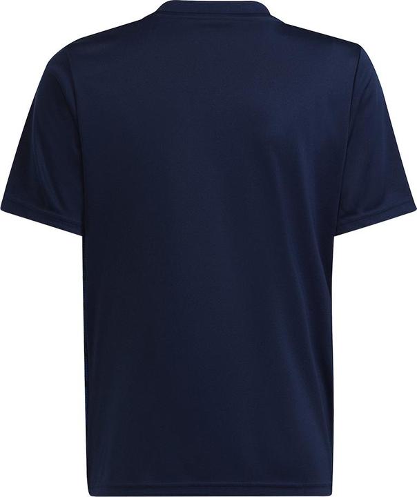 Produktbild adidas Team Icon 23 Trikot (116)