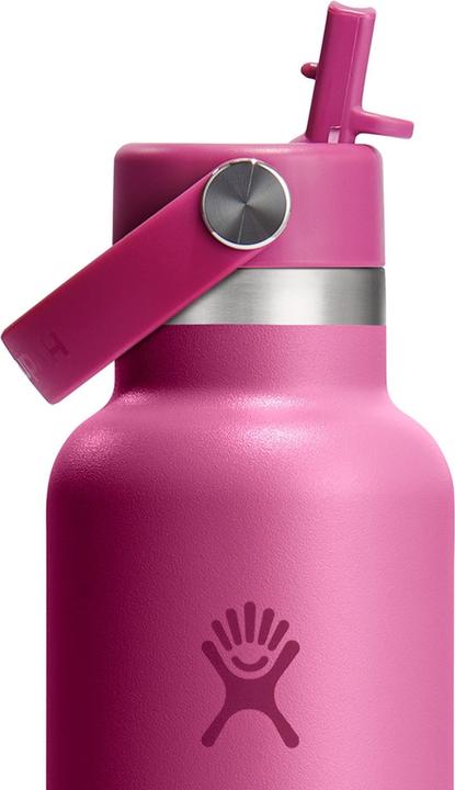 Produktbild Hydro Flask Flasche Standard Mouth Flex Straw Cap Reef (0.62 l)