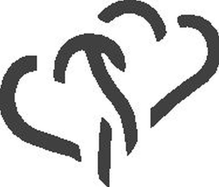 Actual product image Heyda Perforatrice - Coeur double