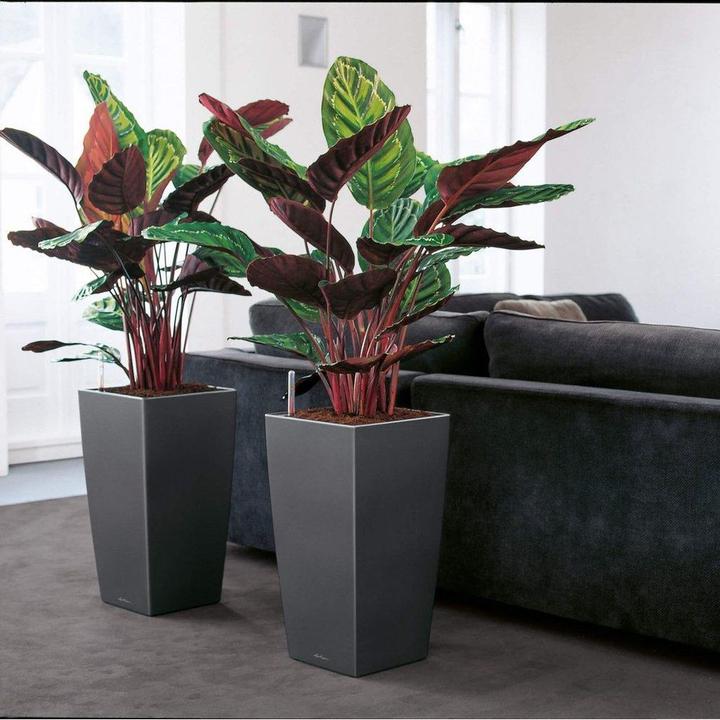 Produktbild Lechuza Cubico (39.50 cm)