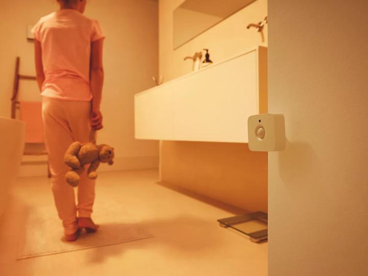 Actual product image Philips Hue motion sensor (5 m)