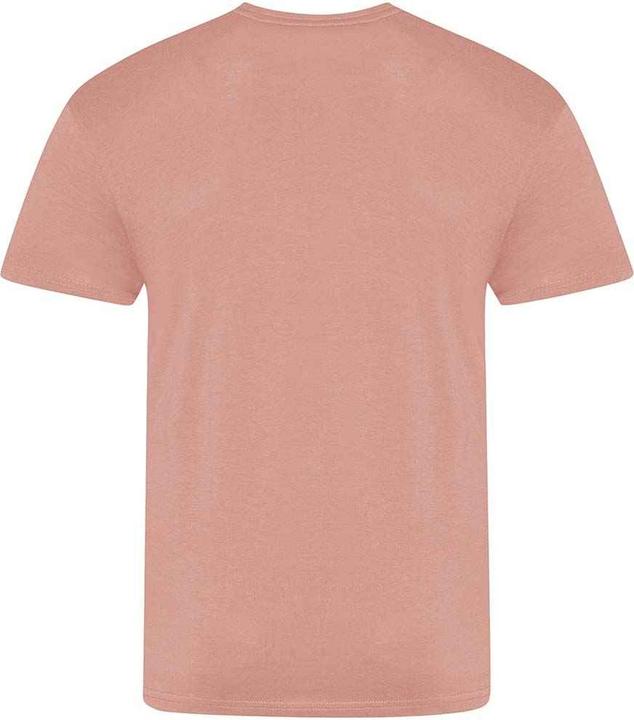 Actual product image Awdis The 100 Tshirt (L)