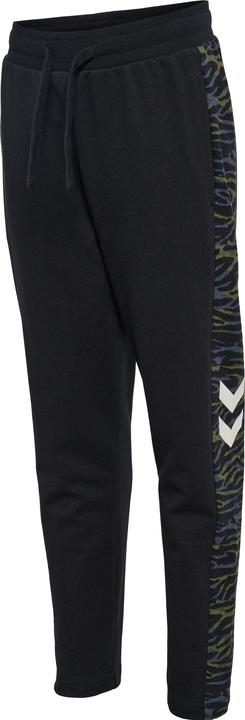 Image du produit hummel Hmlfrede Pants (152)