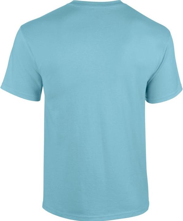 Actual product image Gildan TShirt (M)