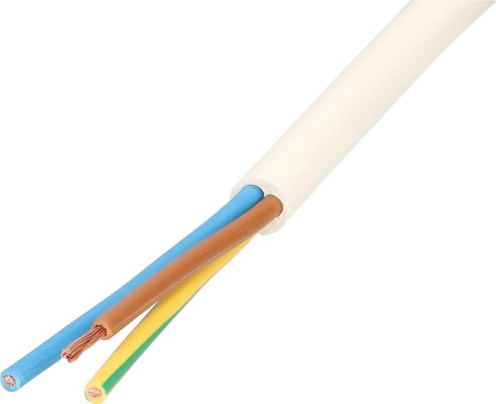 Max Hauri Câble TD (10 m)