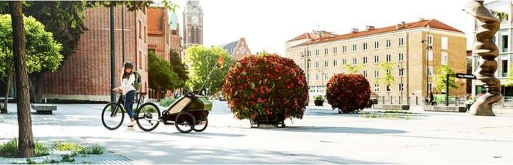 Productafbeelding Thule Chariot Cab 2