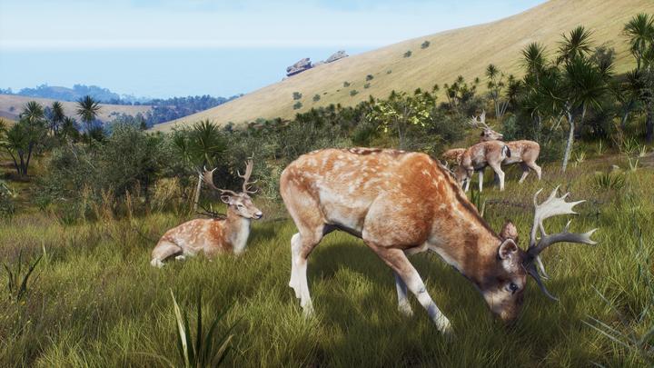 Actual product image THQ Way of the Hunter - Wild Expeditions (Xbox Series X, EN)