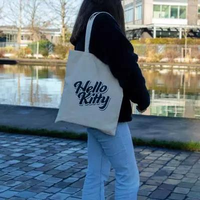 Actual product image Konix Hello Kitty carrier bag Wink