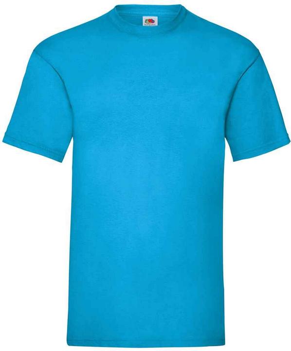 Fruit of the Loom Valueweight TShirt