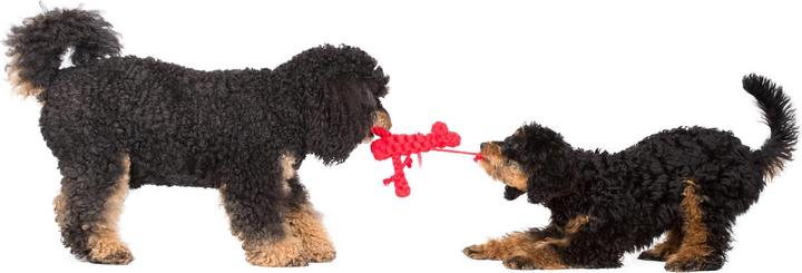 Immagine prodotto Laboni Hugo Hummer (Reperimento, Gioco da masticare per cani, Cucciolata di cane giocattolo)