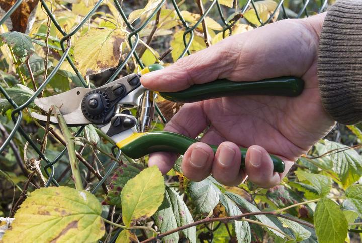 Produktbild Westfalia Einhand-Gartenschere, Compact