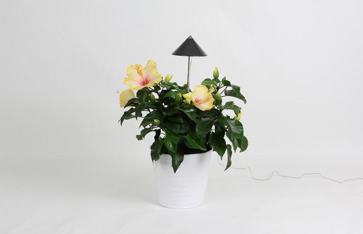 Immagine prodotto Colibri Grigio SUNLiTE (LED, 230 V)