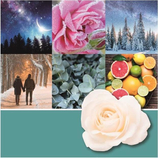 Produktbild Yankee Candle Winter Night Stars