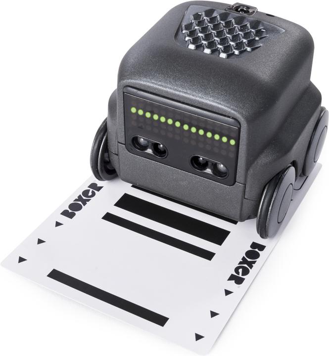 Image du produit Spin Master Boxer Robo