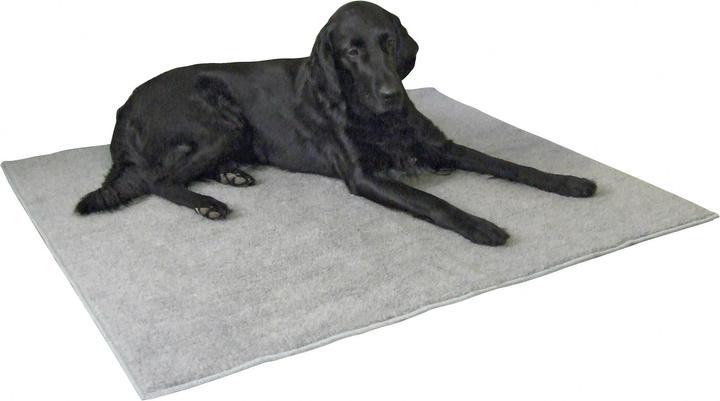 Actual product image Kerbl Thermal carpet (Dog)