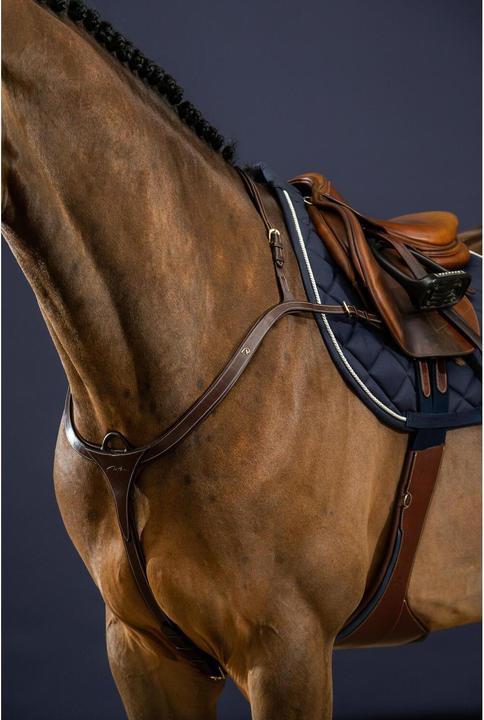 Actual product image Dy'on Long bridge hunting collar for horse