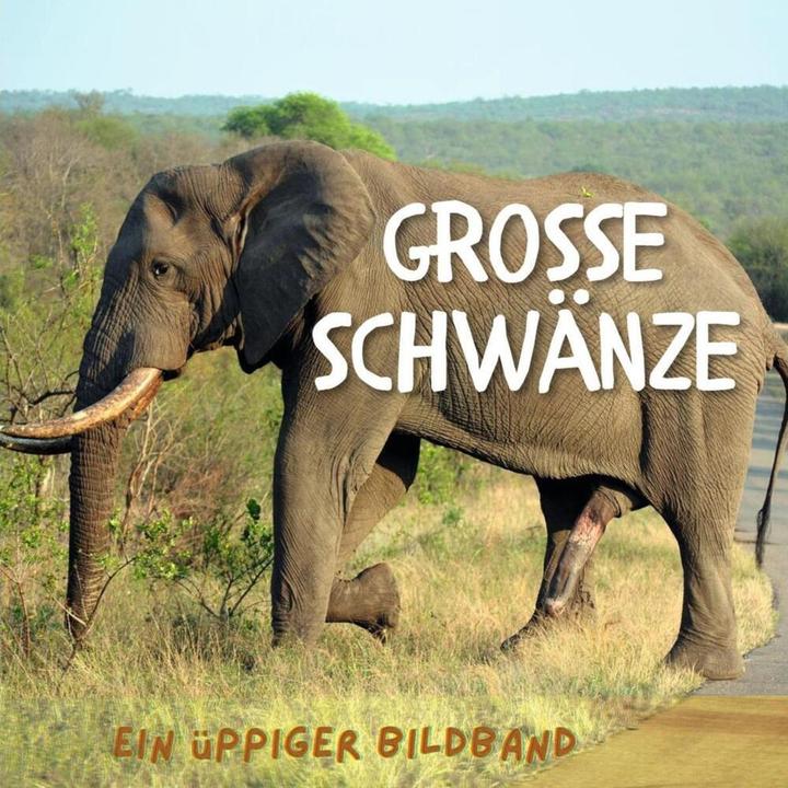 Produktbild Grosse Schwänze (Tim Fröhlich, 2021)