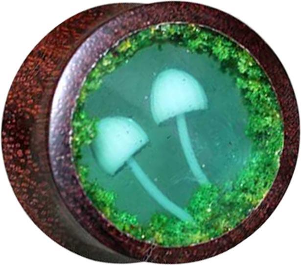 Star Piercing Flared Plug Pilz Epoxy aus Tamarind Holz (Organisch, ohne Messing)