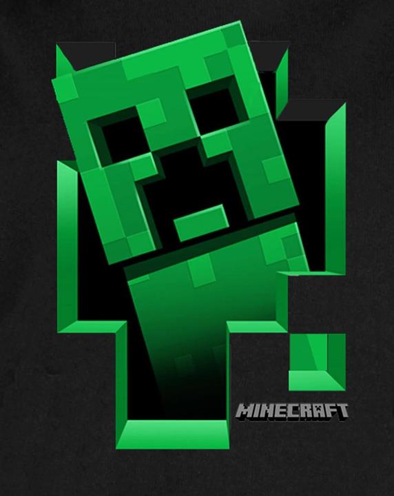 Produktbild Minecraft Creeper Inside (146, 152)