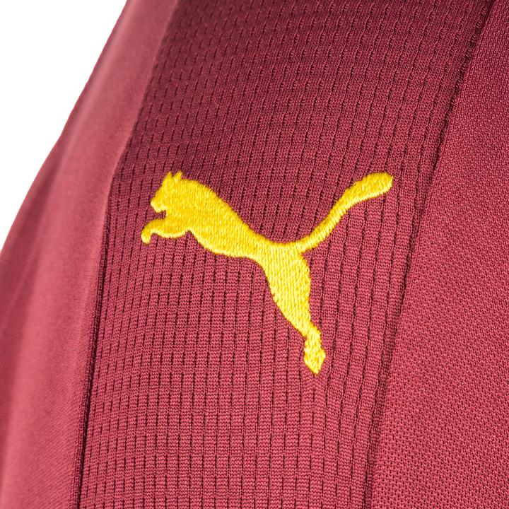 Image du produit Puma Maillot de gardien de but Borussia Dortmund 2018/2019 Hommes (52, 54, L)