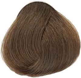 8,31 Cendre d'or blonde claire