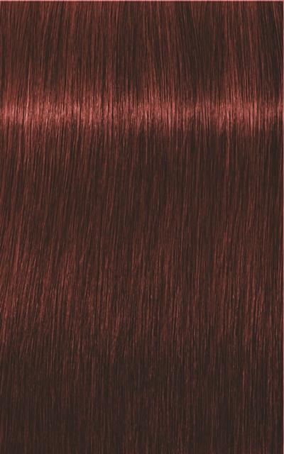 Produktbild Schwarzkopf Professional Igora Royal Absolutes Age Blend (5-80 Hellbraun Rot Natur)