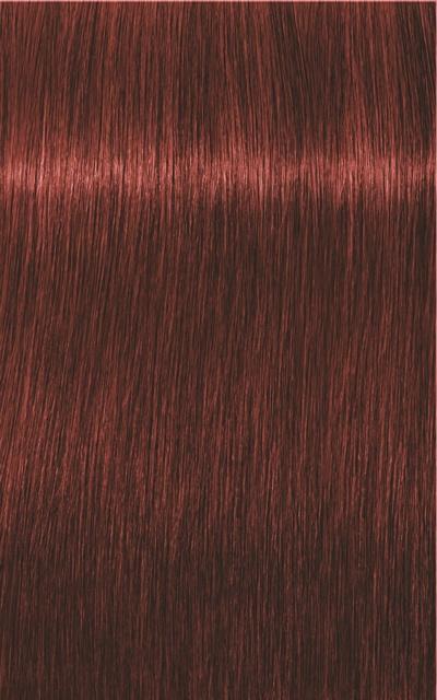 Produktbild Schwarzkopf Professional Igora Royal Absolutes Age Blend (6-80 Dunkelblond Rot Natur)