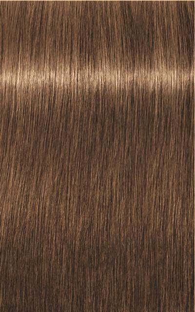 Produktbild Schwarzkopf Professional Igora Royal Absolutes Age Blend (7-50 Mittelblond Gold Natur)