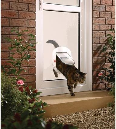Actual product image Staywell Pet flap (Manual cat flap)