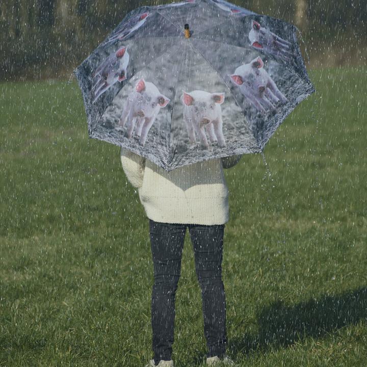Actual product image Esschert Design Umbrella farm animals assorted
