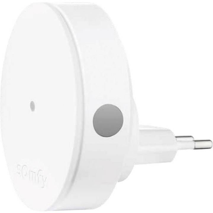 Actual product image somfy Radio amplifier